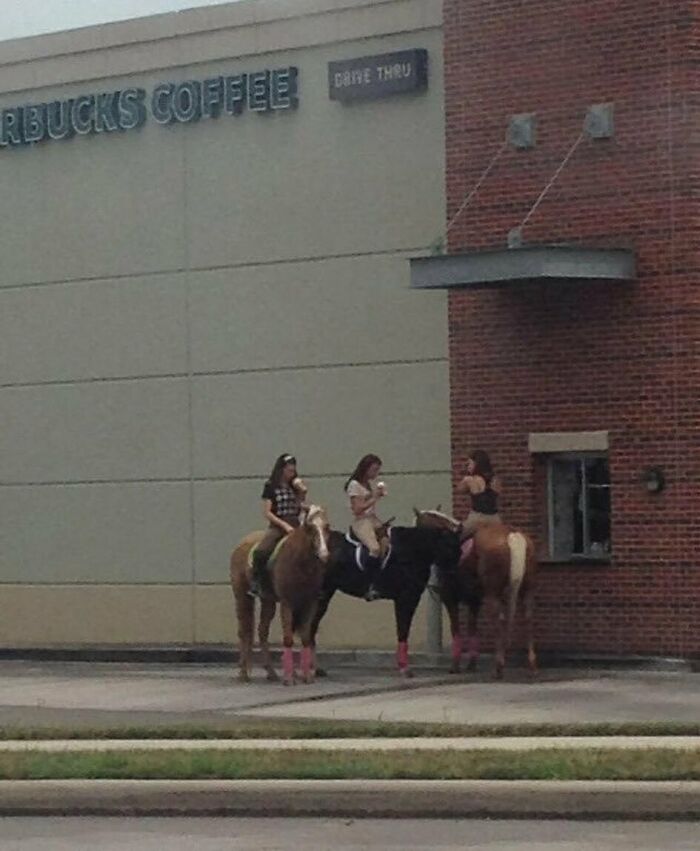 Three women on horses at a Starbucks drive-thru, a curious photo to slightly amuse and intrigue viewers.