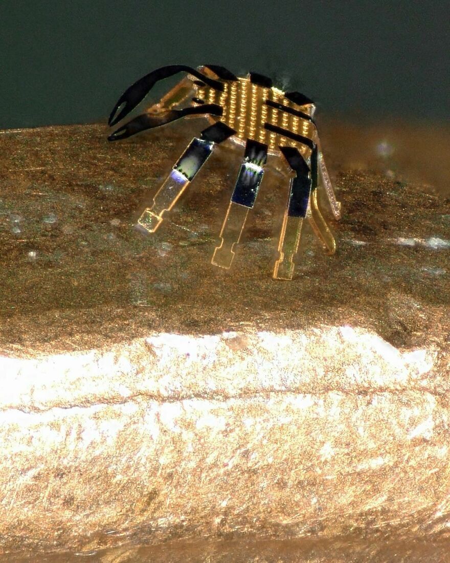 Engineers At Northwestern University Have Developed The World’s Smallest Remote Controlled Robot. For Comparison, This Is The Robot On A Penny