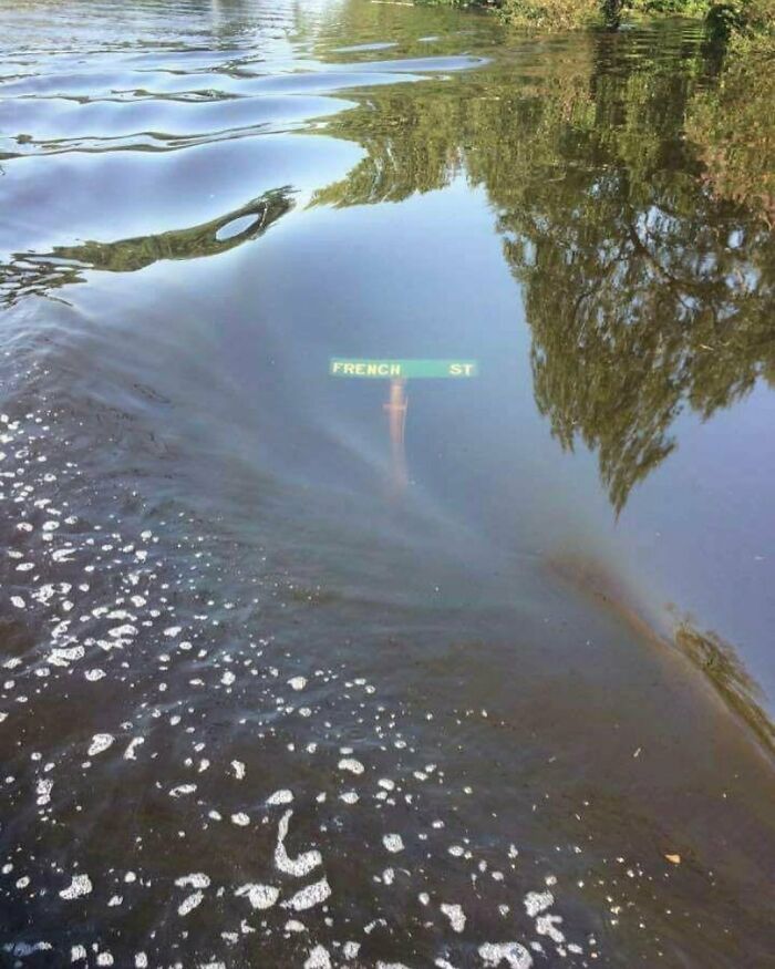 Street sign submerged in water with reflections, one of the photos to slightly amuse and intrigue you online.