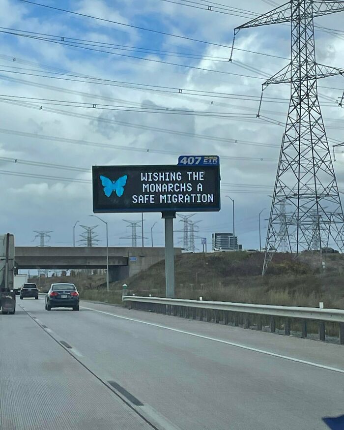 Highway digital sign with a blue butterfly, wishing monarchs a safe migration, captured to amuse and intrigue viewers.