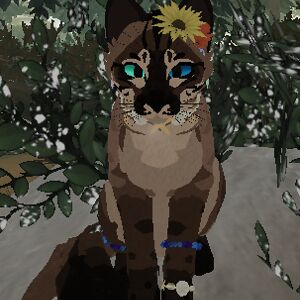 alexandrajohanning avatar