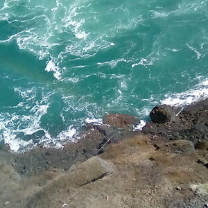 elenaleibowitz avatar