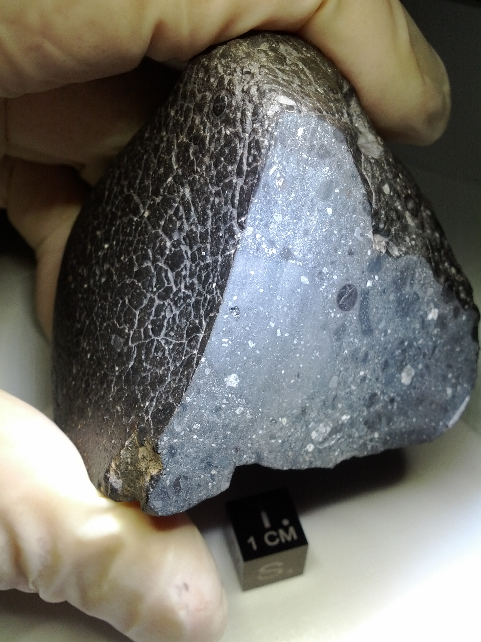 Analysis Of Martian Meteorites, The Only Physical Materials From Mars, Is Revealed Analysis Of Martian Meteorites, The Only Physical Materials From Mars, Is Revealed