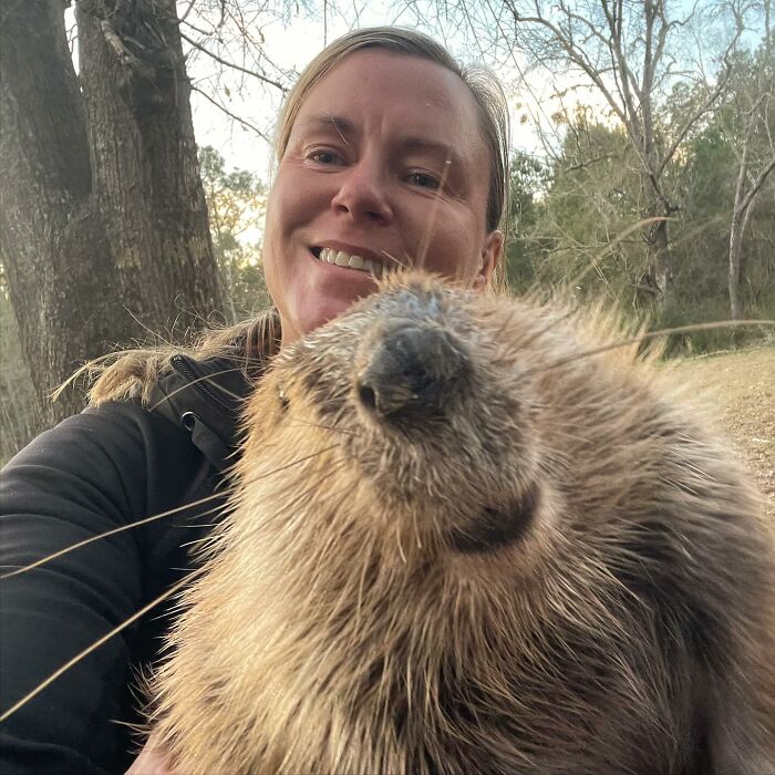 Tulip The Rescued Beaver Finds Love And Purpose As A Big Sister To A Tiny Beaver Petunia Tulip The Rescued Beaver Finds Love And Purpose As A Big Sister To A Tiny Beaver Petunia