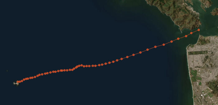 Amy Appelhans Gubser Completed A 17-Hour Swimming Journey Through Cold, Shark-Inhabited Waters Amy Appelhans Gubser Completed A 17-Hour Swimming Journey Through Cold, Shark-Inhabited Waters