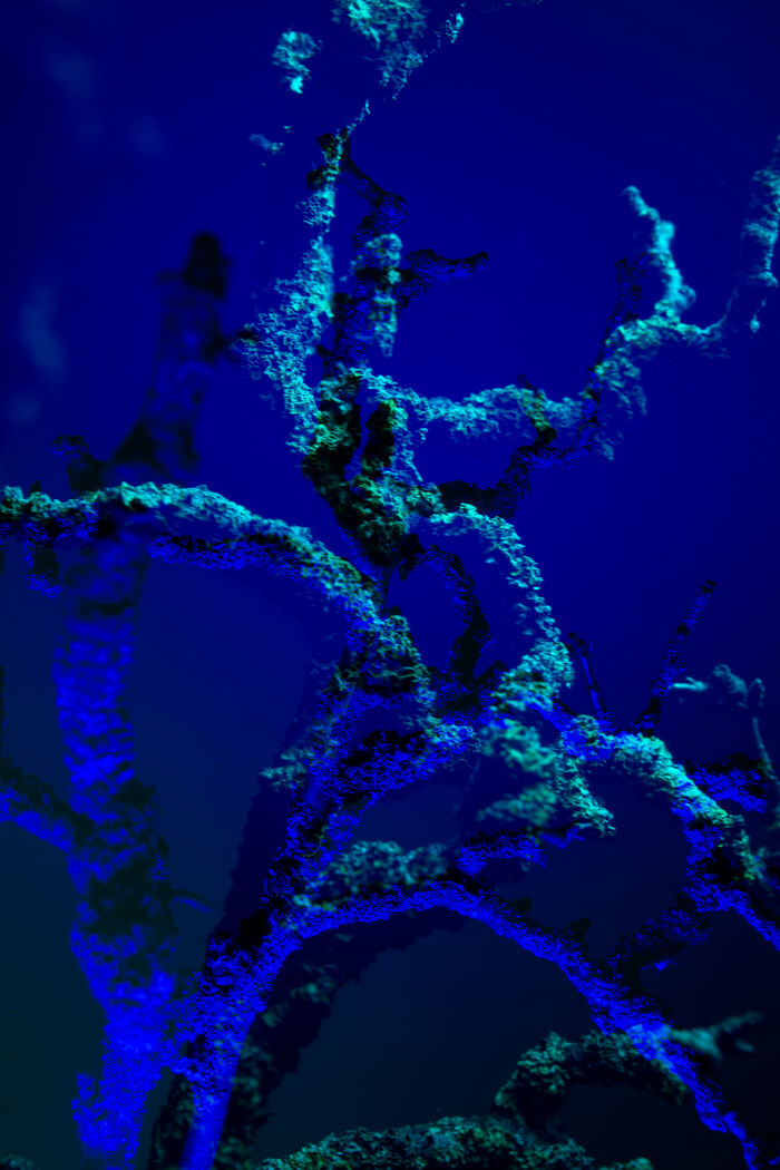 35 Photographs I Took To Capture How It Feels To Detach From Reality