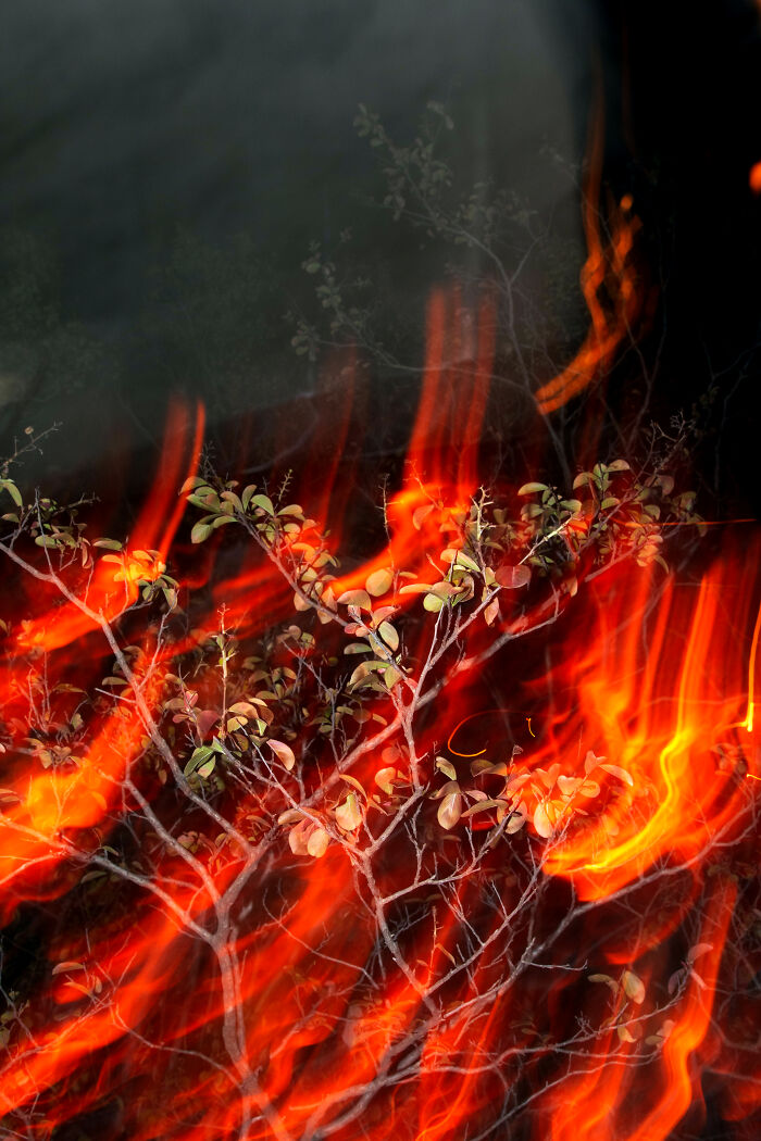 35 Photographs I Took To Capture How It Feels To Detach From Reality