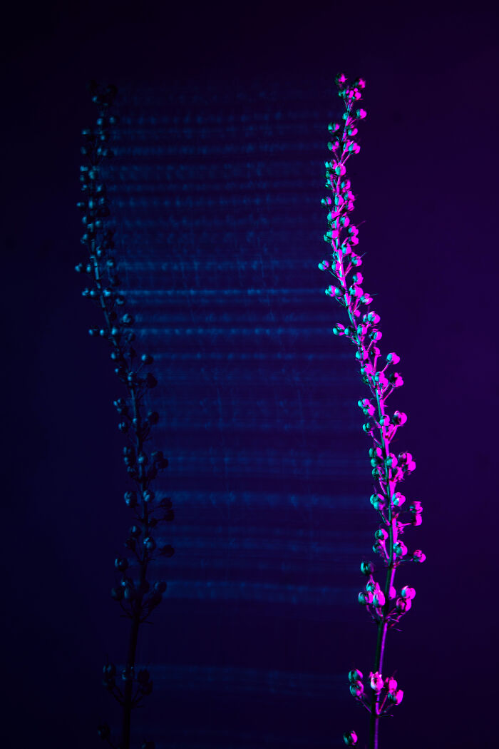 35 Photographs I Took To Capture How It Feels To Detach From Reality