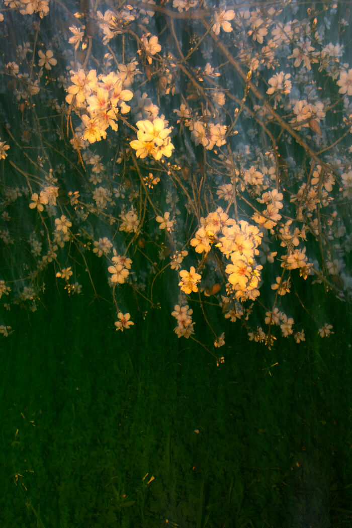 35 Photographs I Took To Capture How It Feels To Detach From Reality