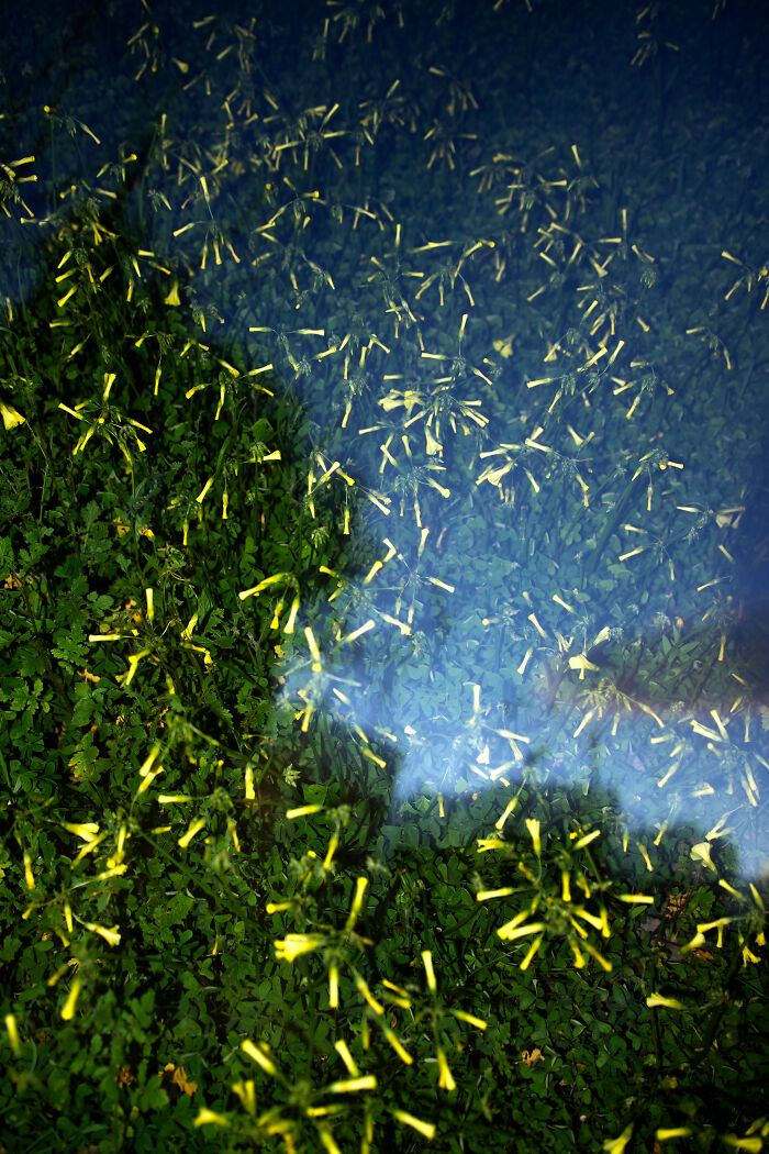 35 Photographs I Took To Capture How It Feels To Detach From Reality