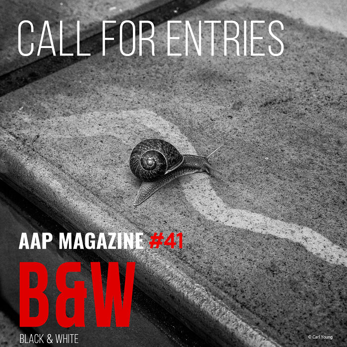 "Black And White": We Are Inviting You To Participate In A Photo Contest "Black And White": We Are Inviting You To Participate In A Photo Contest