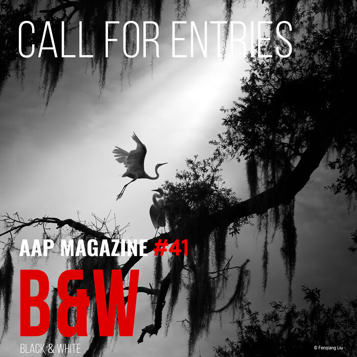 "Black And White": We Are Inviting You To Participate In A Photo Contest "Black And White": We Are Inviting You To Participate In A Photo Contest