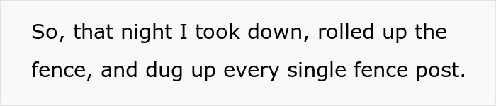 Woman and Her Neighbor Rejoice in Triumph After She Removes Her Fence, Outsmarting Lousy Neighbors Woman and Her Neighbor Rejoice in Triumph After She Removes Her Fence, Outsmarting Lousy Neighbors