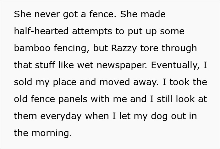 Annoying Woman Threatens To Sue Neighbor Over A Fence, Regrets It When He Tears It Down Annoying Woman Threatens To Sue Neighbor Over A Fence, Regrets It When He Tears It Down