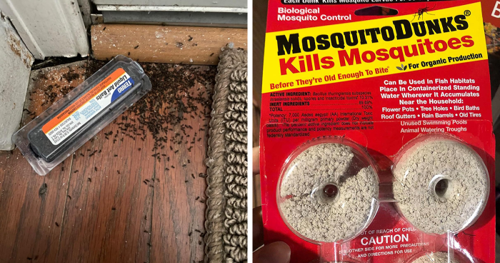 41 Amazon Best Sellers That Speak For Themselves