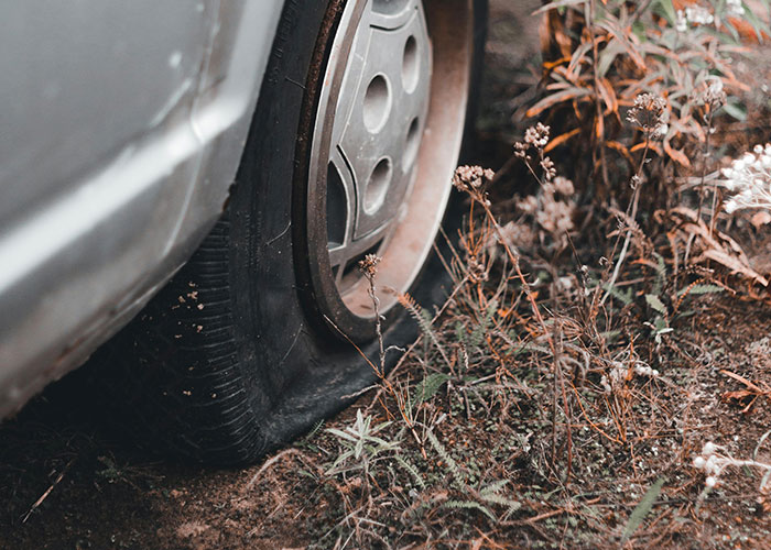 Woman Prevents Random Truck From Passing Through Her Property By Hiding Star Pickets In Her Lawn Woman Prevents Random Truck From Passing Through Her Property By Hiding Star Pickets In Her Lawn