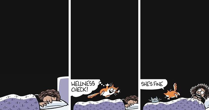 This Artist Sums Up Life With A Cat In His 40 Funny Cartoons