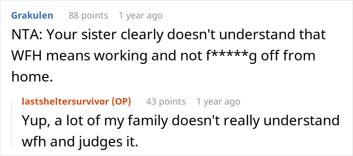 Woman Can’t Understand The Difference Between WFH And A Vacation, Demands Sister Babysit Woman Can’t Understand The Difference Between WFH And A Vacation, Demands Sister Babysit