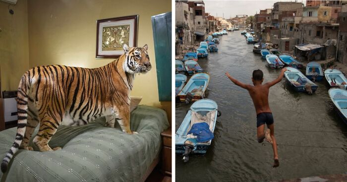 30 Captivating Winning Images Of This Year’s 1839 Awards