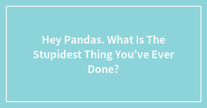 Hey Pandas, What Is The Stupidest Thing You’ve Ever Done?