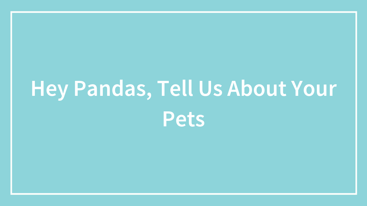 Hey Pandas, Tell Us About Your Pets (Closed)