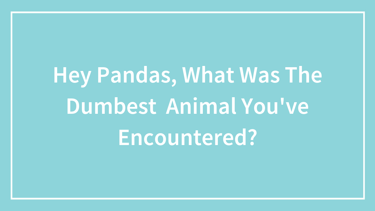 Hey Pandas, What Was The Dumbest Animal You’ve Encountered? (Closed)