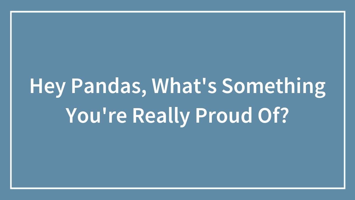 Hey Pandas, What’s Something You’re Really Proud Of?