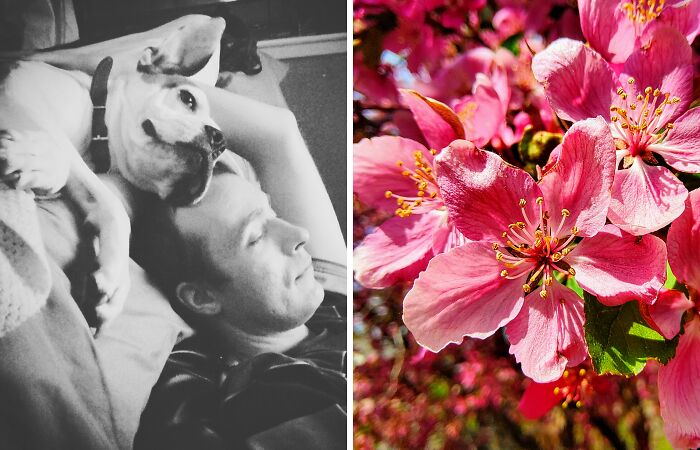 Hey Pandas, What’s The Most Stunning Photo You’ve Ever Taken? (Closed)