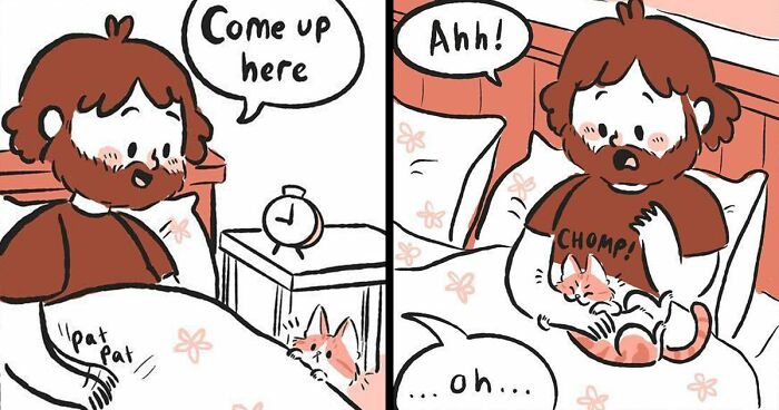 Life With Cats: 28 Cozy Comics Illustrated By This Artist