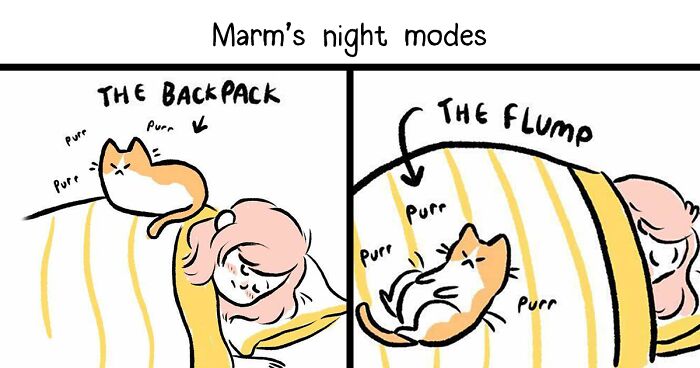 Life With Cats: 28 Cozy Comics Illustrated By This Artist