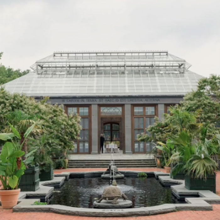 Bride Outraged After Botanical Garden Hides All The Plants The Night Before The Wedding Bride Outraged After Botanical Garden Hides All The Plants The Night Before The Wedding