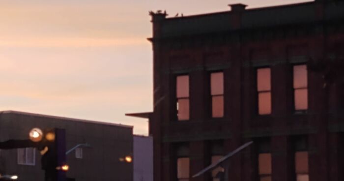 Hey Pandas, Post The Perfect Picture You Took At The Most Random Place (Closed)