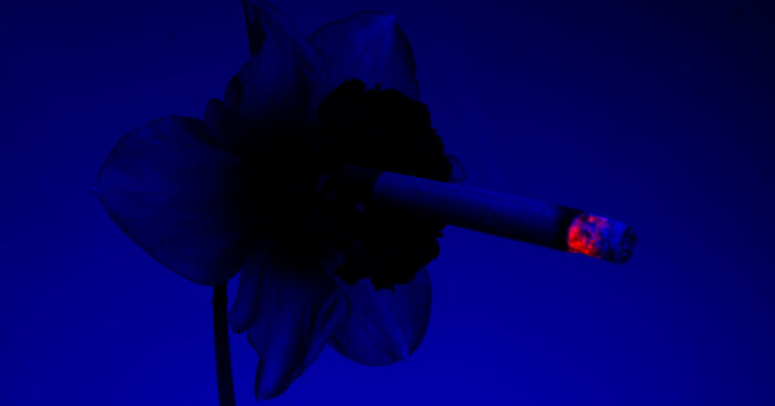 I Took 14 Photographs Of Flowers Smoking Cigarettes