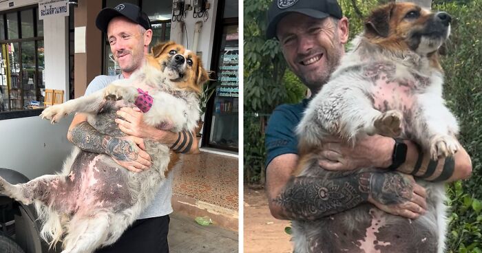 Obese Dog Given Second Chance At Life After Being Rescued From Streets, Undergoes Massive Transformation