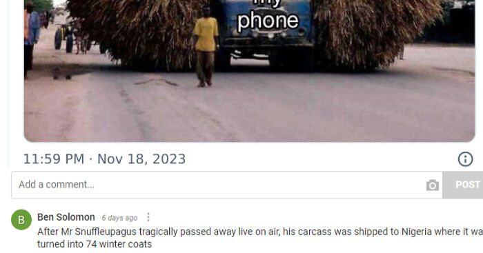 Funny Made-Up Facts: 19 Credible-Looking Comments I Left Under Various Posts