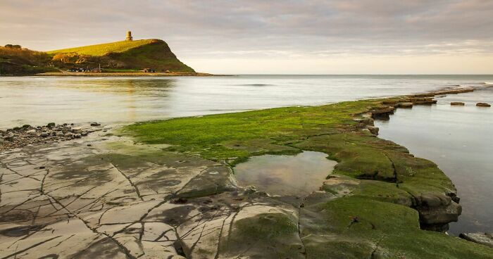 Kimmeridge Bay In Spring