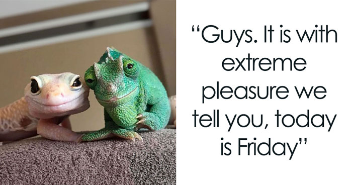 102 Happy Friday Memes To Kickstart Your Weekend, Voted By Readers (New Memes)