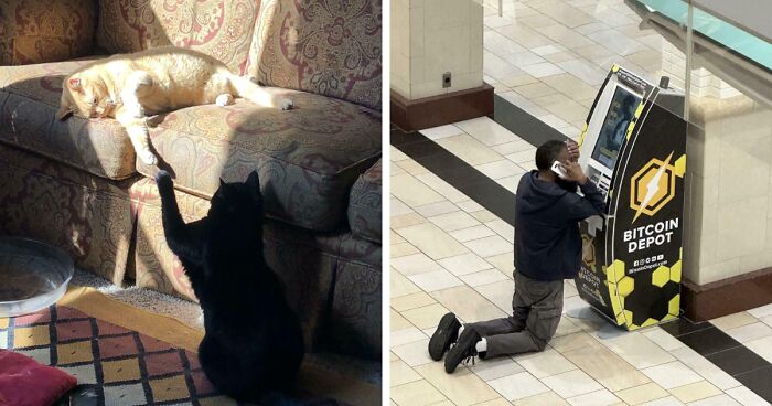 50 Photos That Unintentionally Resemble “Accidental Renaissance” (New Pics)