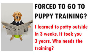 27 Humorous Ads Featuring A Dog Offering Attorney Services To All Canines In Need (New Pics)