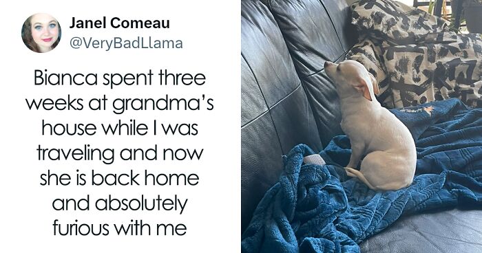 30 Of The Funniest Posts Cat And Dog Owners Shared This Month
