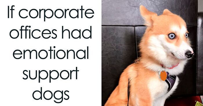 This Instagram Page Shares 50 Funny Memes About Work That You Shouldn’t Be Reading At Work