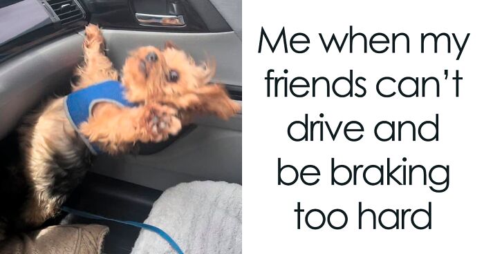 50 Of The Funniest Memes From The ‘Queen Savage’ IG Page