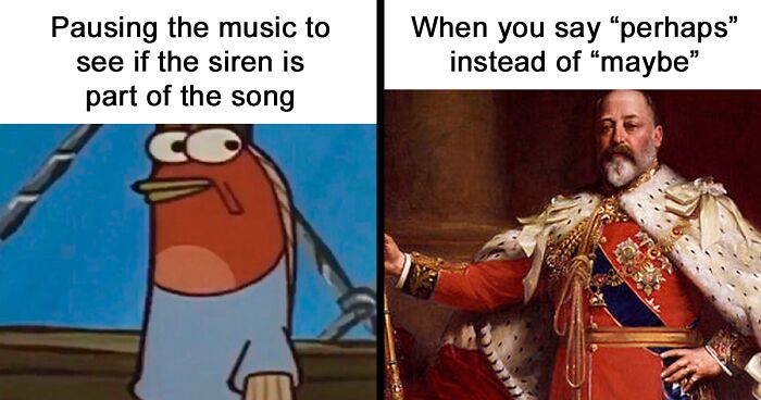 80 Hilariously Random Memes About Everything And Anything