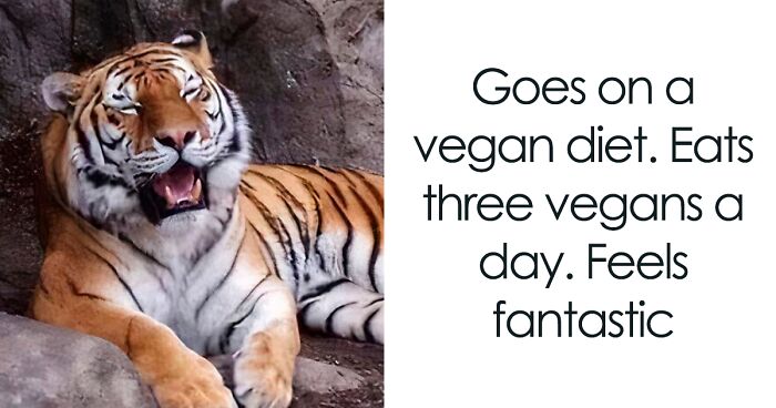 75 ‘Unappreciated Puns’, As Shared On This Roaringly Funny Facebook Group