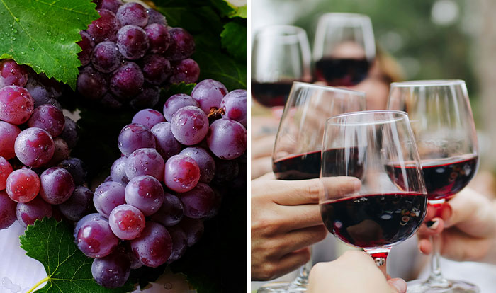60YO Lady Gets Senior Discount, Buys 109 Pounds of Grapes For $8, Upset When Wine-Making Goes South