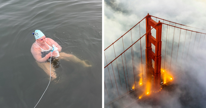 A 55 Y.O. Became The 1st Woman To Swim From The Golden Gate Bridge To The Farallon Islands