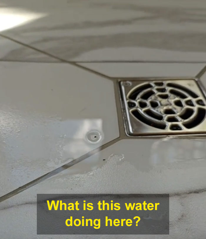 Home Inspector Goes Viral Showing Just How Cheap This $1.8 Million House Is Home Inspector Goes Viral Showing Just How Cheap This $1.8 Million House Is