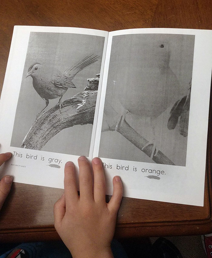 My Brother's Kindergarten Teacher Printed These Out For The Class