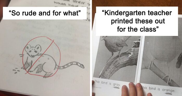 50 Students Expose The Unprofessionalism Of Their Teachers (New Pics)