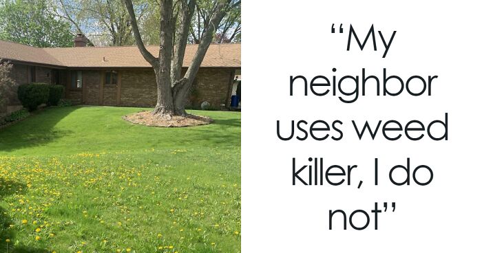 50 Mildly Interesting Things That You Might Have Never Seen Before (New Pics)